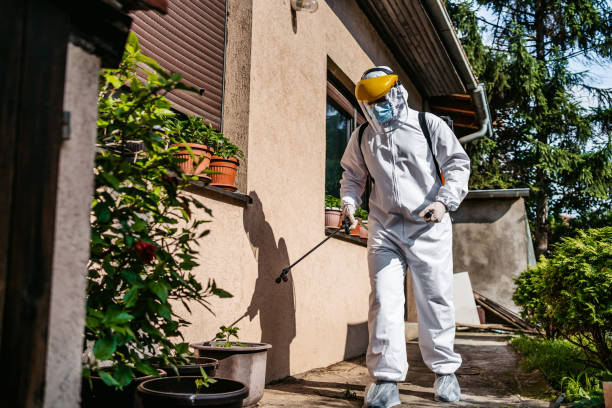 Best Affordable Pest Control Services  in Franklin, GA