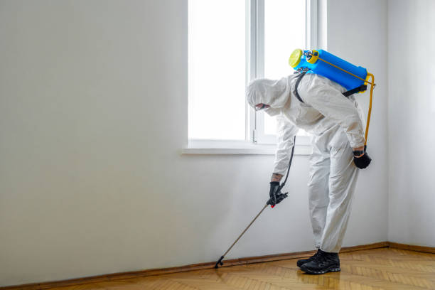 Best Pest Control Cost  in Franklin, GA