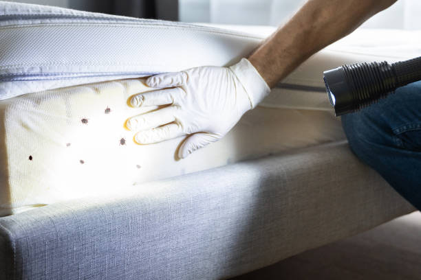 Best Commercial Pest Control Services  in Franklin, GA