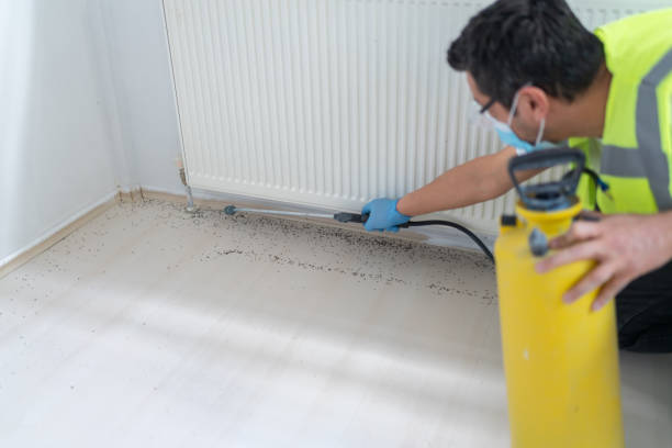 Best Pest Removal Services  in Franklin, GA