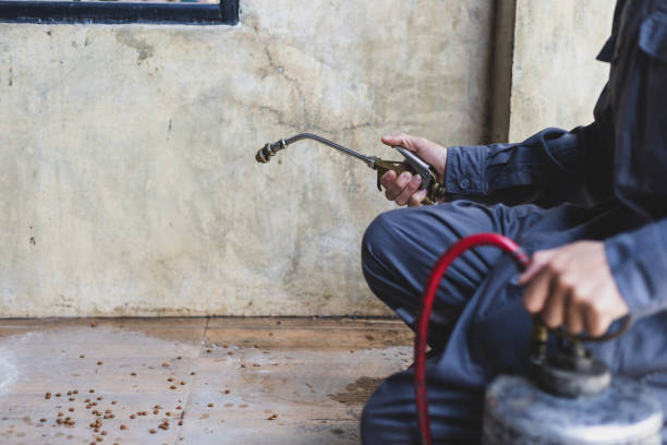 Trusted Franklin, GA Pest Control Experts